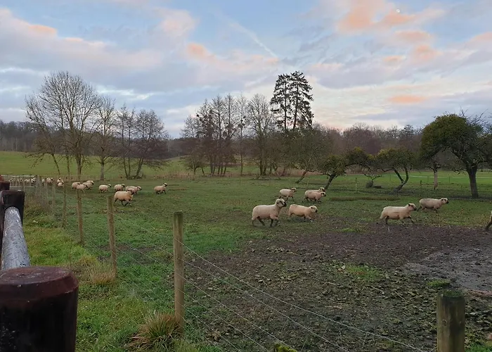 Les De Preisch 民宿 Evrange