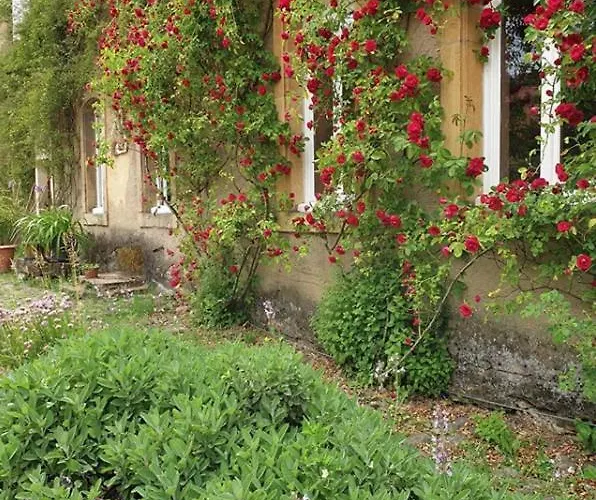 Les De Preisch 民宿 Evrange